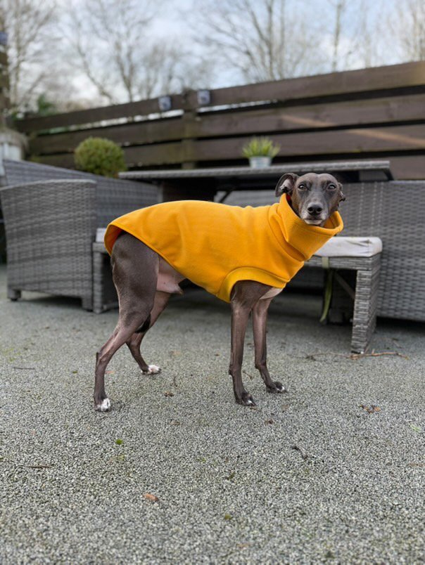 Open-Leg Fleece Vest - Yellow - Pet Supplier Store