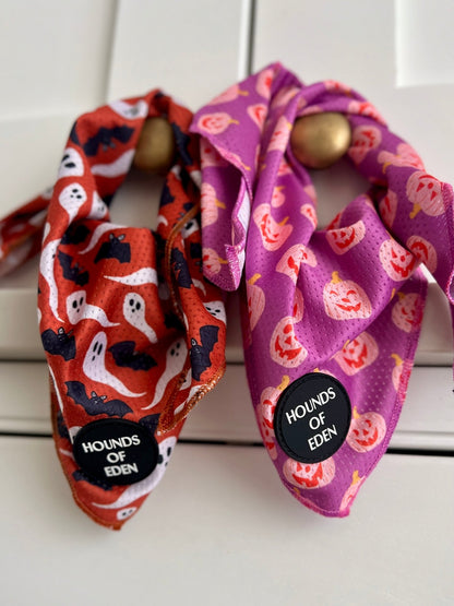 Orange Bats + Ghosts Halloween Dog Bandana 👻 - Pet Supplier Store