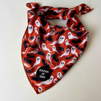 Orange Bats + Ghosts Halloween Dog Bandana 👻 - Pet Supplier Store