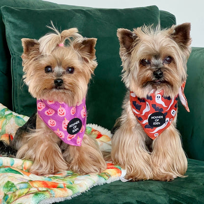 Orange Bats + Ghosts Halloween Dog Bandana 👻 - Pet Supplier Store