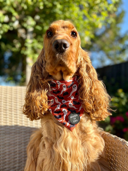 Orange Bats + Ghosts Halloween Dog Bandana 👻 - Pet Supplier Store