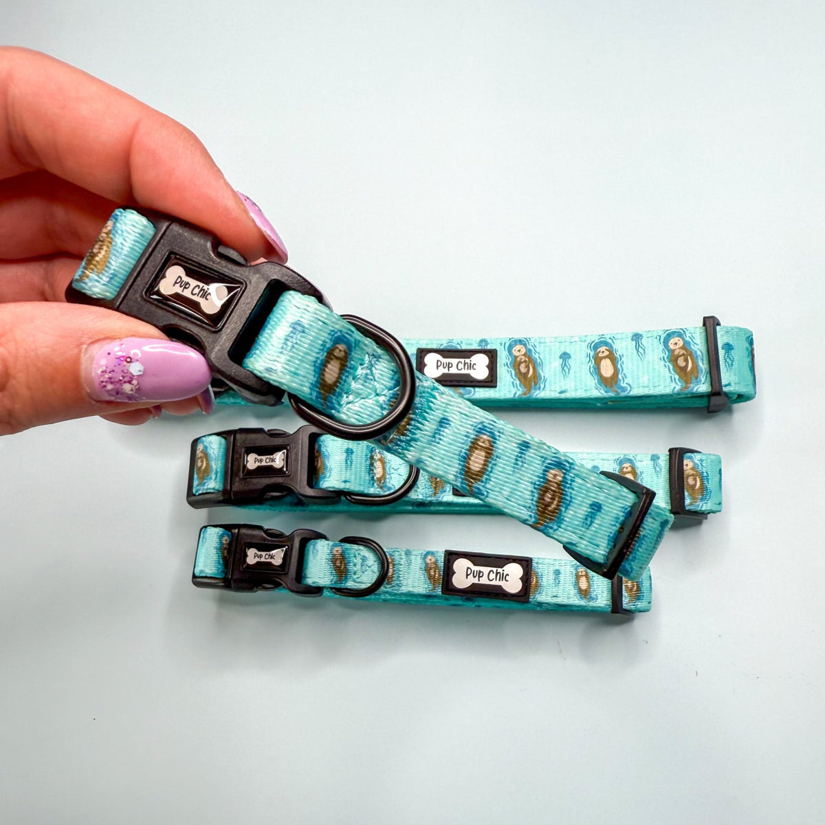 Otterly Lovely Dog Collar 🦦💙 - Pet Supplier Store