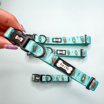 Otterly Lovely Dog Collar 🦦💙 - Pet Supplier Store