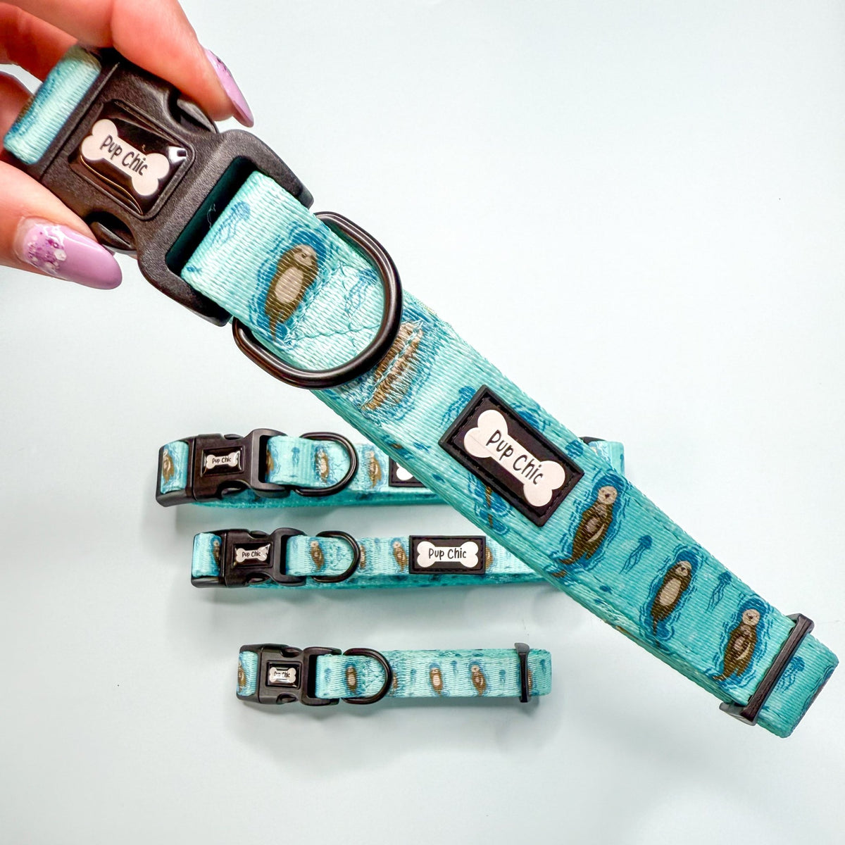 Otterly Lovely Dog Collar 🦦💙 - Pet Supplier Store