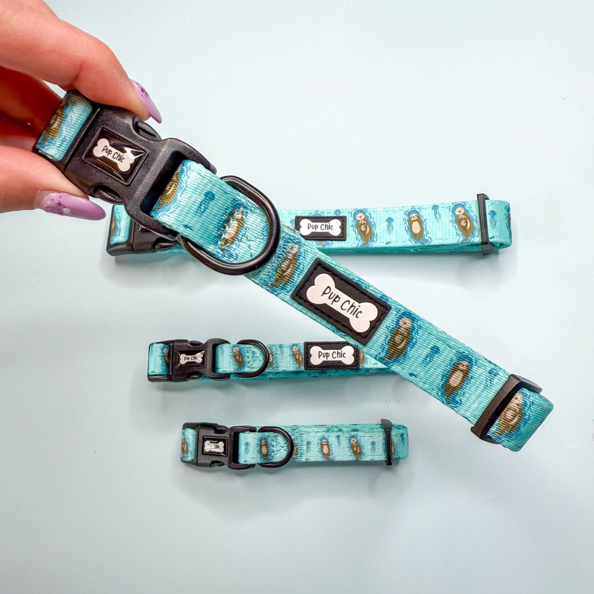 Otterly Lovely Dog Collar 🦦💙 - Pet Supplier Store