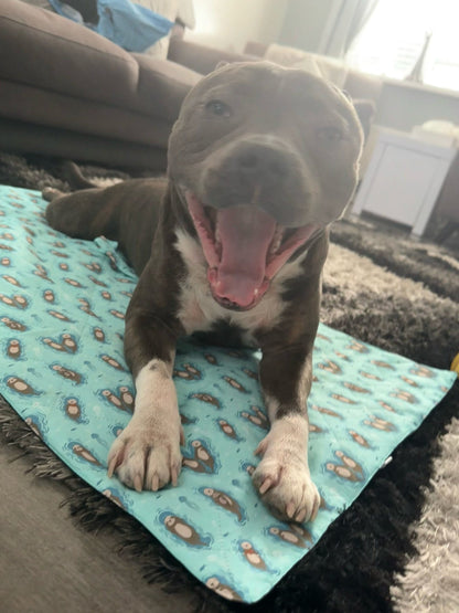 Otterly Lovely Dog Settle Mat - The Perfect Travel Mat for Your Dog! 🦦💙 - Pet Supplier Store