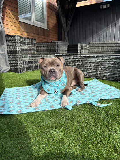 Otterly Lovely Dog Settle Mat - The Perfect Travel Mat for Your Dog! 🦦💙 - Pet Supplier Store
