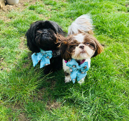 Otterly Lovely Sailor bow 🦦💙 - Pet Supplier Store