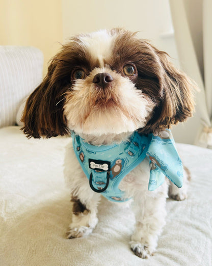 Otterly Lovely Step-in Adjustable harness (XXS-XS) 🦦💙 - Pet Supplier Store