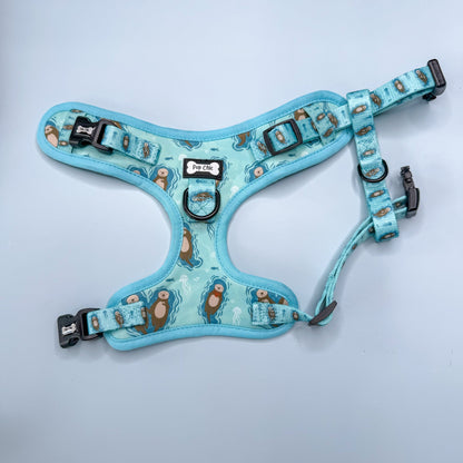 Otterly Lovely Step-in Adjustable harness (XXS-XS) 🦦💙 - Pet Supplier Store