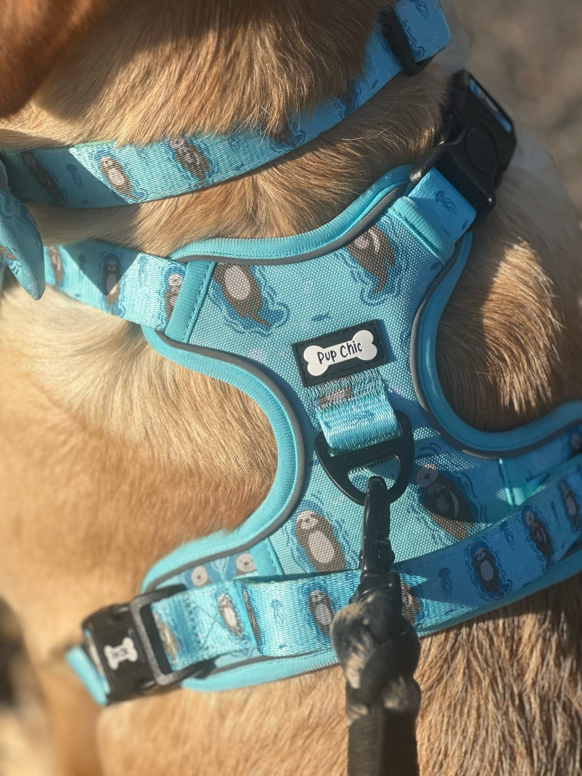 Otterly Lovely Tactical Dog Harness – No Pull & Fully Adjustable - Pet Supplier Store