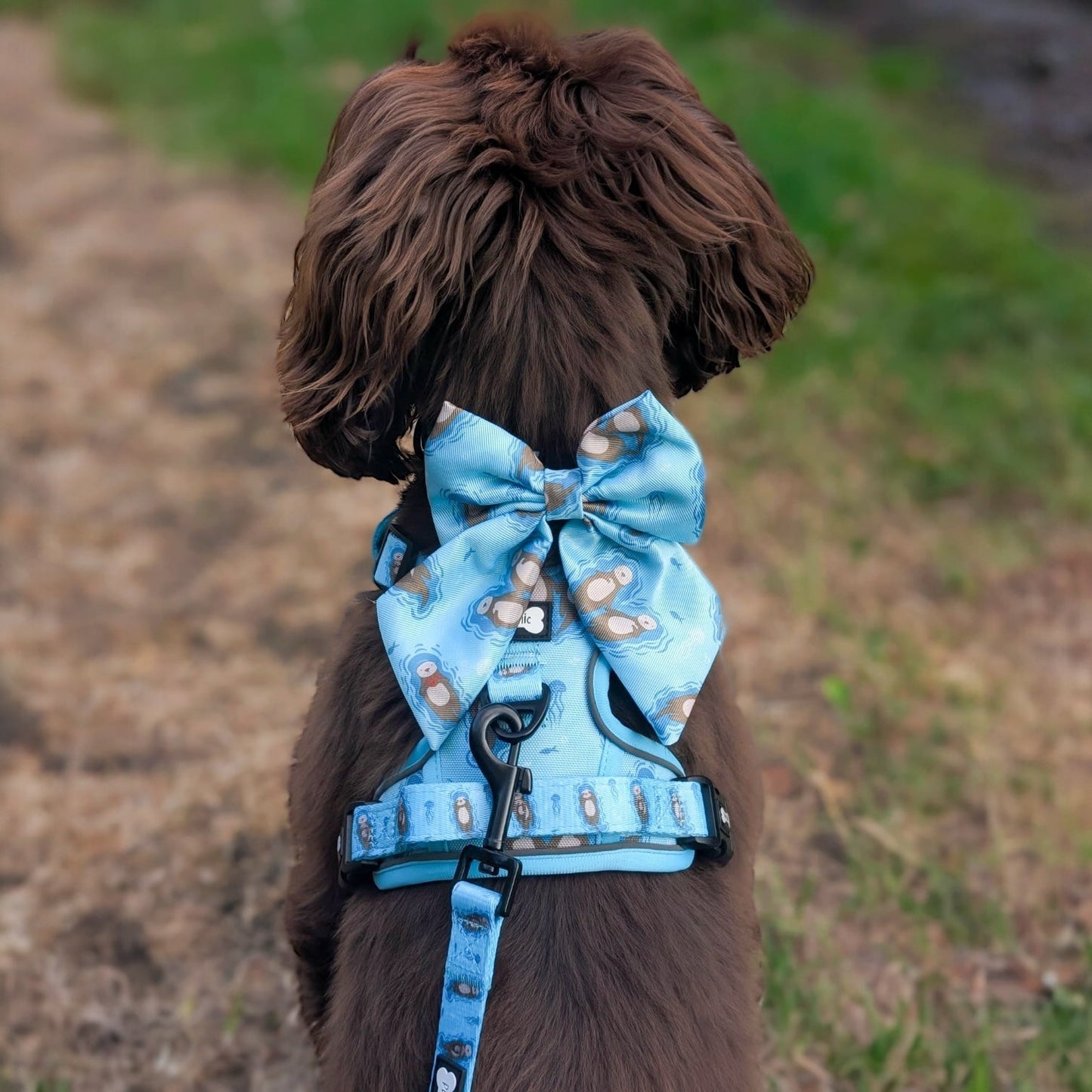 Otterly Lovely Tactical Dog Harness – No Pull & Fully Adjustable - Pet Supplier Store