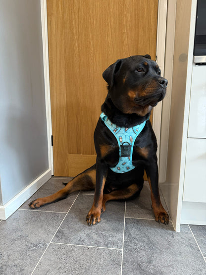 Otterly Lovely Tactical Dog Harness – No Pull & Fully Adjustable - Pet Supplier Store