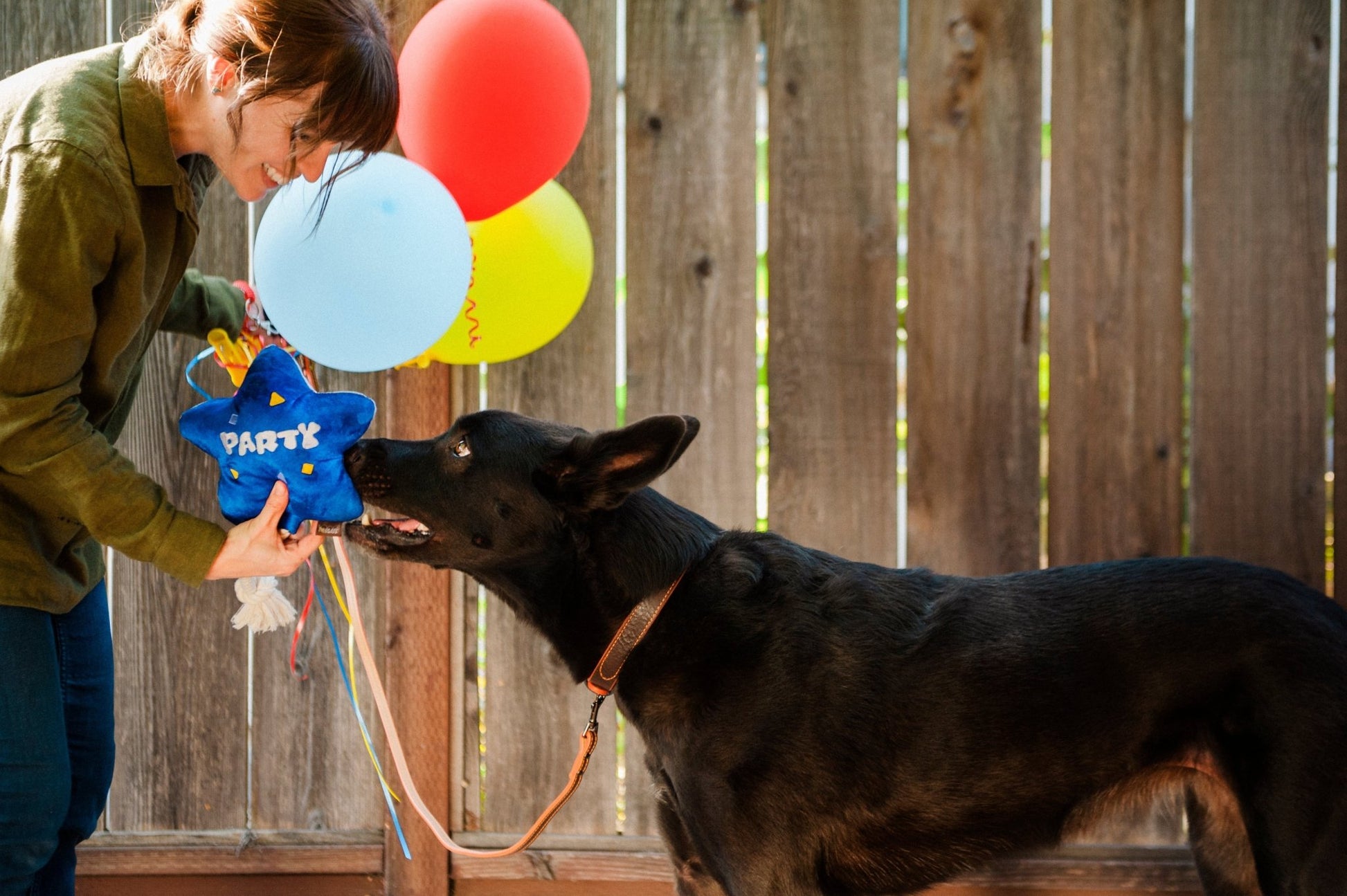 Party Time Best Day Ever Balloon Plush Dog Toy - Pet Supplier Store