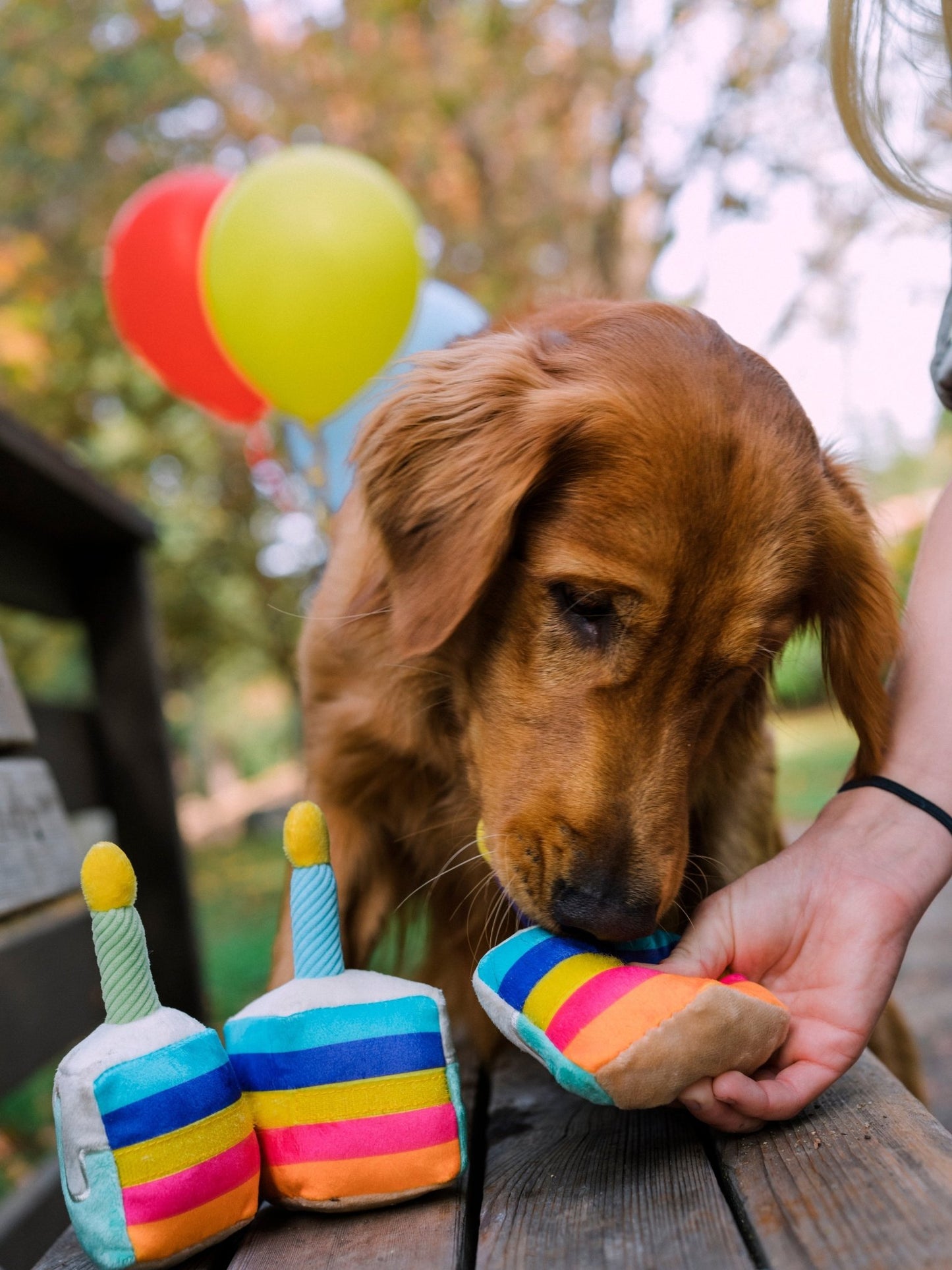 Party Time Bone-Appetit Cake Plush Dog Toy - Pet Supplier Store