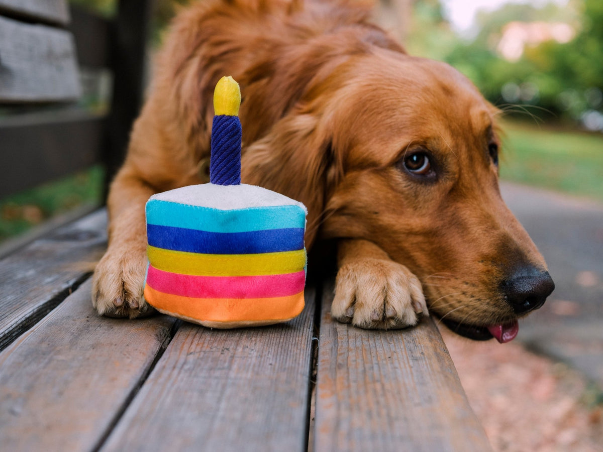 Party Time Bone-Appetit Cake Plush Dog Toy - Pet Supplier Store