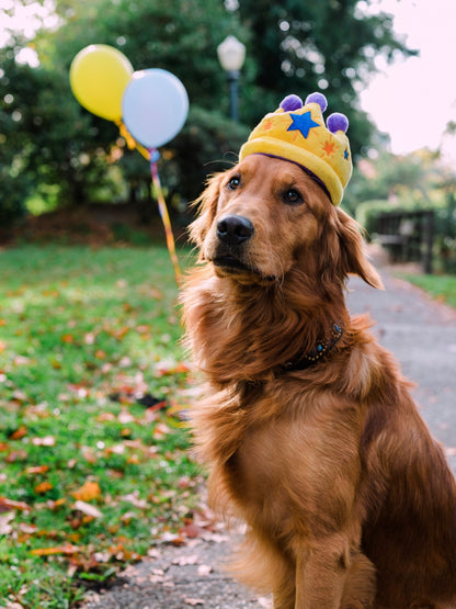 Party Time Canine Crown Plush Dog Toy - Pet Supplier Store