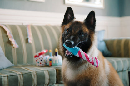 Party Time Raise The Woof Party Horn Plush Dog Toy - Pet Supplier Store