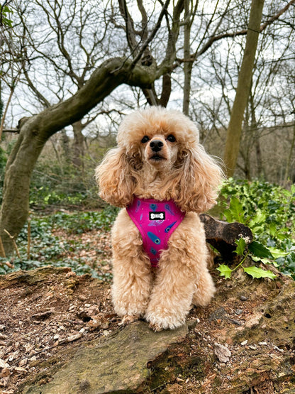 Peacock Power Adjustable Dog Harness - hot pink peacock feather dog harness - Pet Supplier Store
