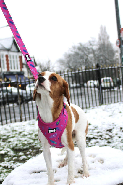 Peacock Power Adjustable Dog Harness - hot pink peacock feather dog harness - Pet Supplier Store