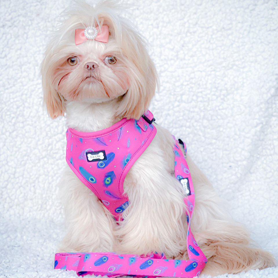 Peacock Power Adjustable Dog Harness - hot pink peacock feather dog harness - Pet Supplier Store