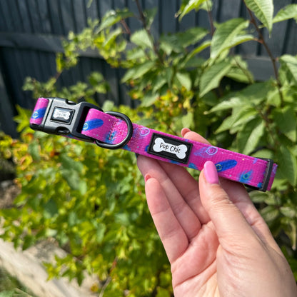 Peacock Power Dog Collar: Stylish, Durable, and Comfortable for Your Dog - Pet Supplier Store
