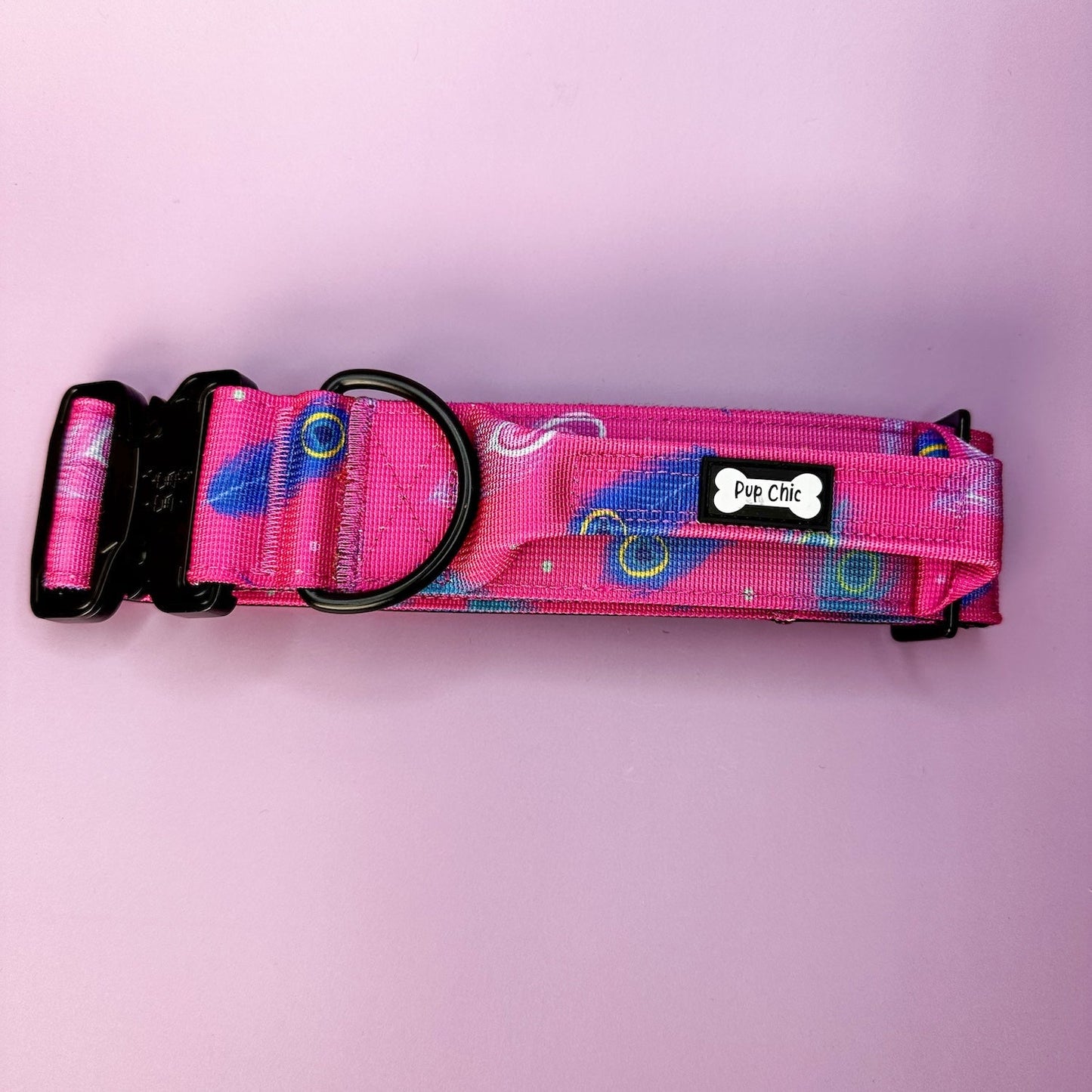 Peacock Power Dog Collar: Stylish, Durable, and Comfortable for Your Dog - Pet Supplier Store