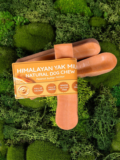 Peanut Butter Yak Dog Chew - Pet Supplier Store