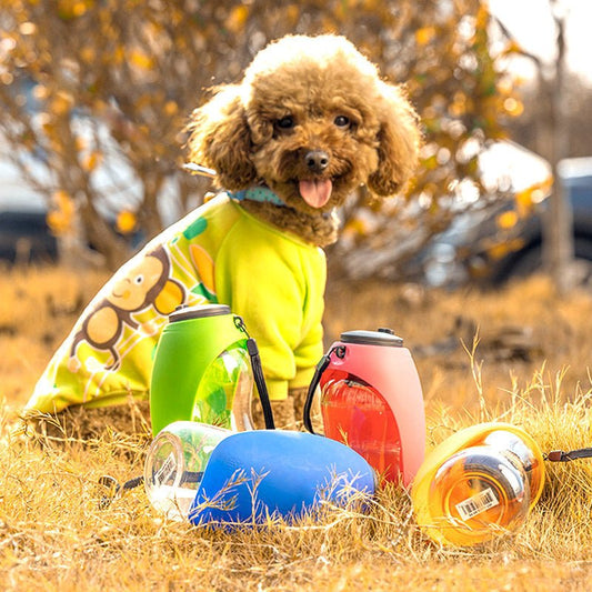Pet Dog Water Drinking Portable bottle 680ml - Pet Supplier Store