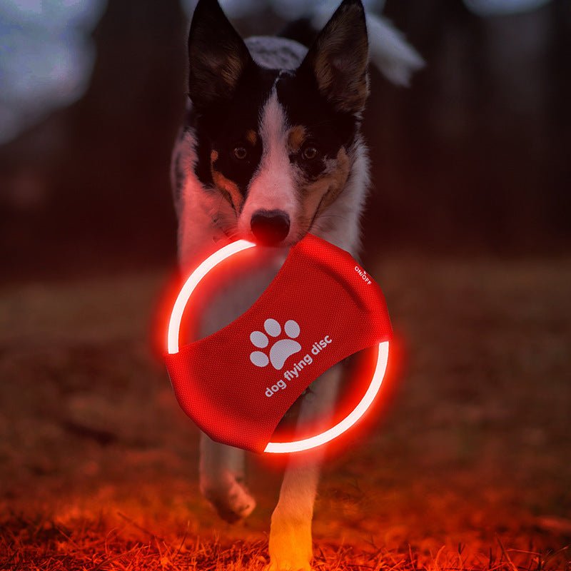 Pet LED Durable Accessory Night Rechargeable Frisbee - Pet Supplier Store