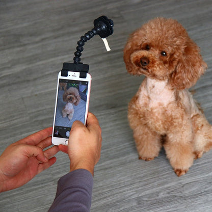 Pet Selfie Stick - Pet Supplier Store