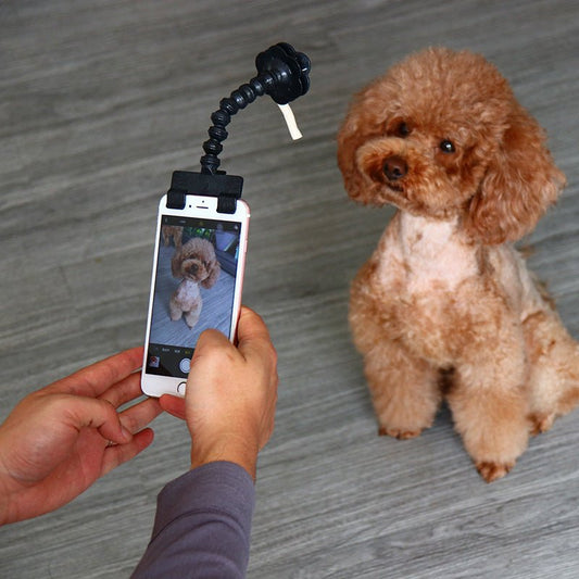 Pet Selfie Stick - Pet Supplier Store