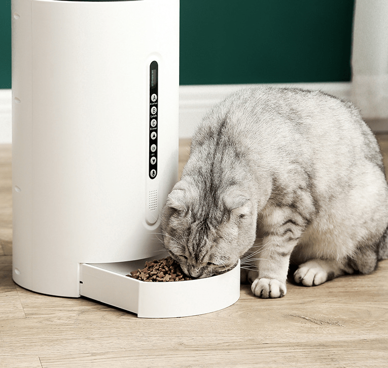 Pet Smart Feeder Supplies Timing - Pet Supplier Store