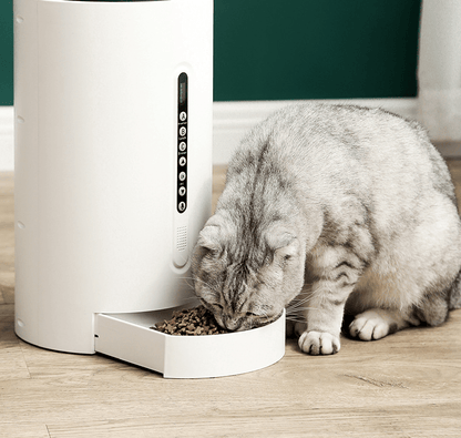 Pet Smart Feeder Supplies Timing - Pet Supplier Store