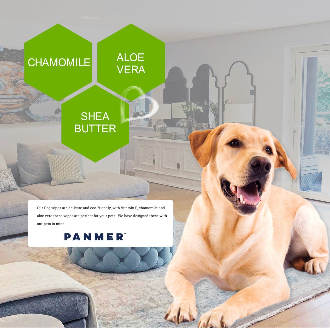 Pet Wipes For Dogs and All Pets Hypoallergenic Unscented Wipes - Pet Supplier Store