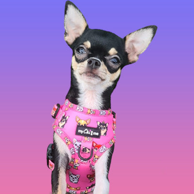 Signature Pink Chihuahua Print Exclusive Small Dog Harness by My Chi and Me