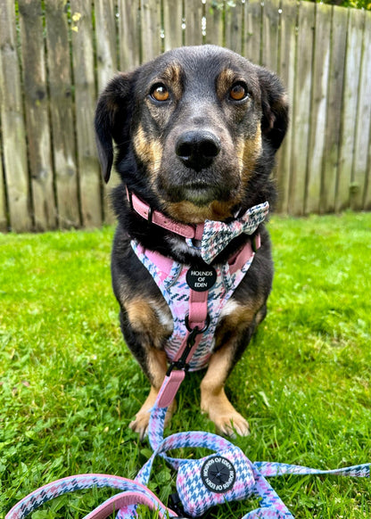 Pink Houndstooth Design Dog Bow Tie - Pet Supplier Store