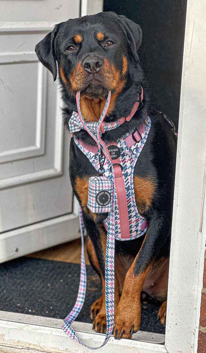 Pink Houndstooth Design Dog Bow Tie - Pet Supplier Store