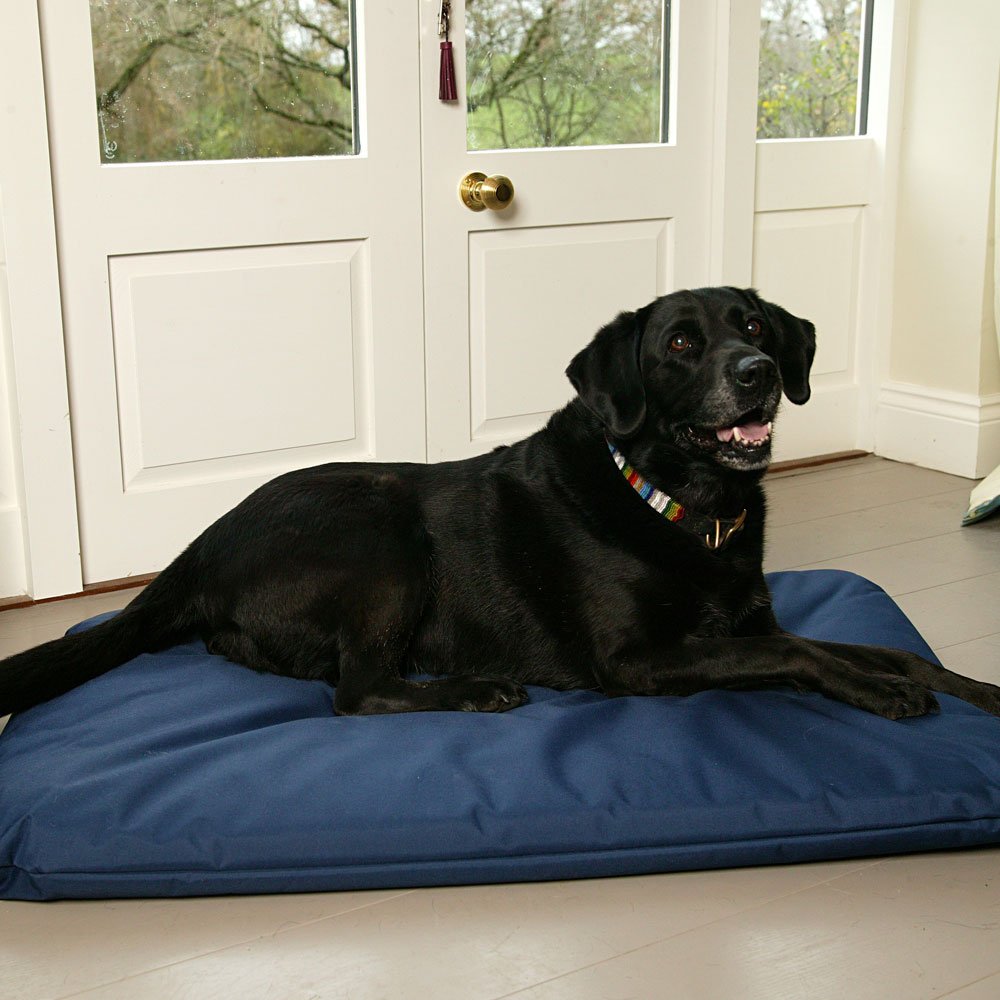 P&L Country Dog Heavy Duty Waterproof Duvet Dog Beds. - Pet Supplier Store