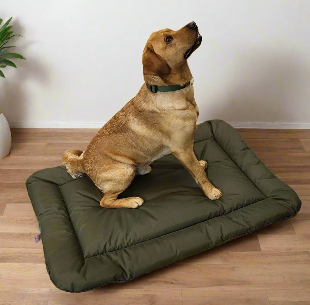 P&L Country Dog Heavy Duty Waterproof Rectangular Cushion Pad Dog Beds. - Pet Supplier Store