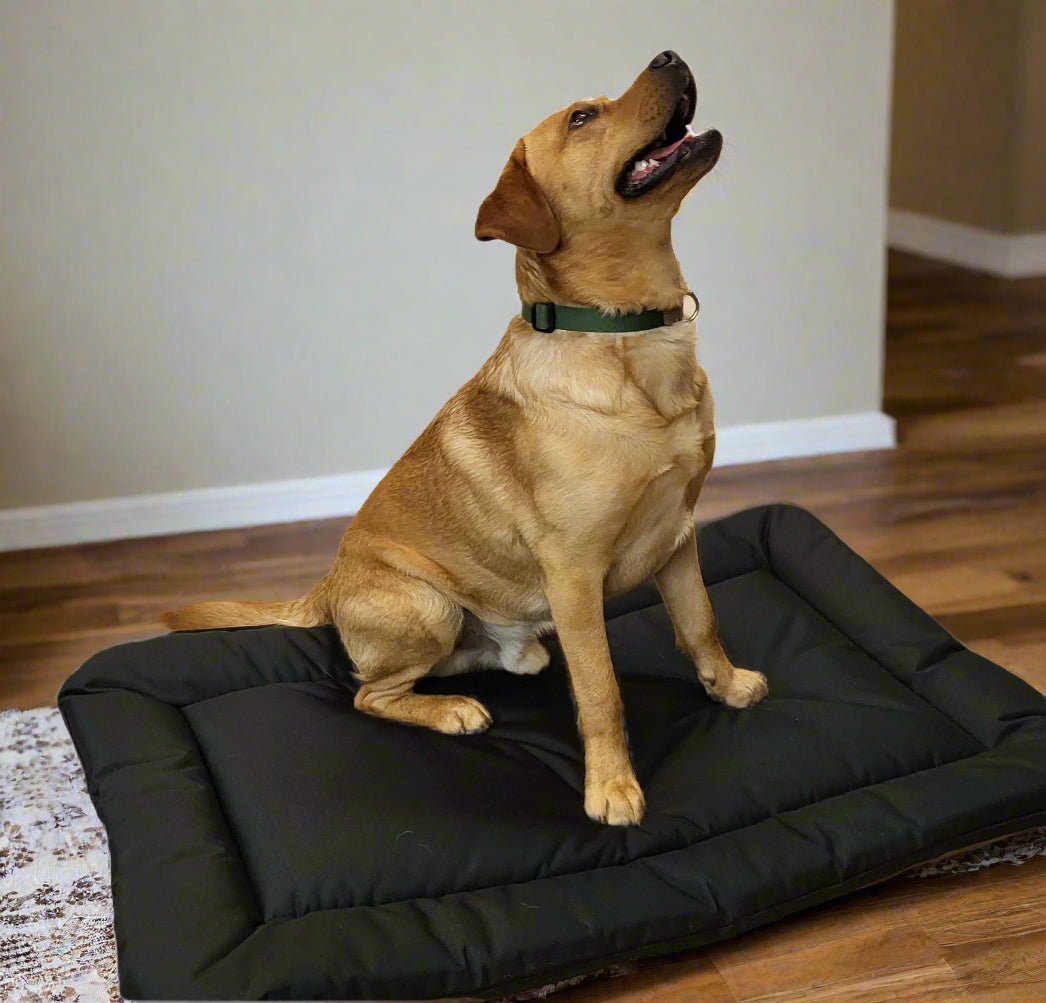 P&L Country Dog Heavy Duty Waterproof Rectangular Cushion Pad Dog Beds. - Pet Supplier Store