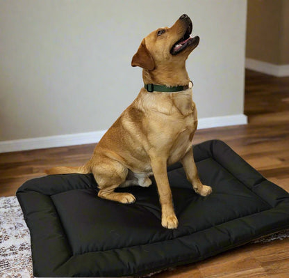 P&L Country Dog Heavy Duty Waterproof Rectangular Cushion Pad Dog Beds. - Pet Supplier Store