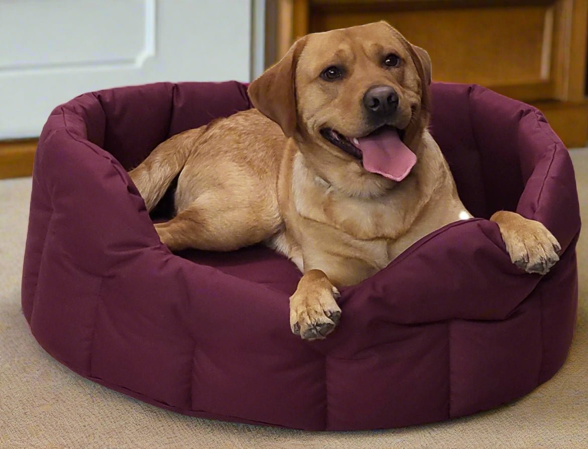 P&L Country Dog Tough Heavy Duty Oval High Sided Waterproof Dog Beds. - Pet Supplier Store