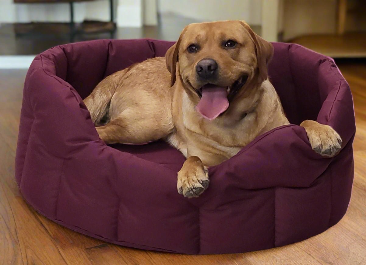 P&L Country Dog Tough Heavy Duty Oval High Sided Waterproof Dog Beds. - Pet Supplier Store