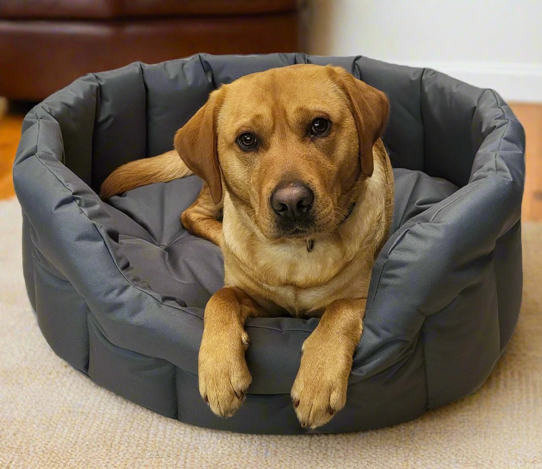 P&L Country Dog Tough Heavy Duty Oval High Sided Waterproof Dog Beds. - Pet Supplier Store