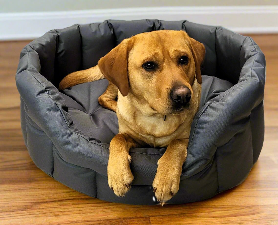 P&L Country Dog Tough Heavy Duty Oval High Sided Waterproof Dog Beds. - Pet Supplier Store