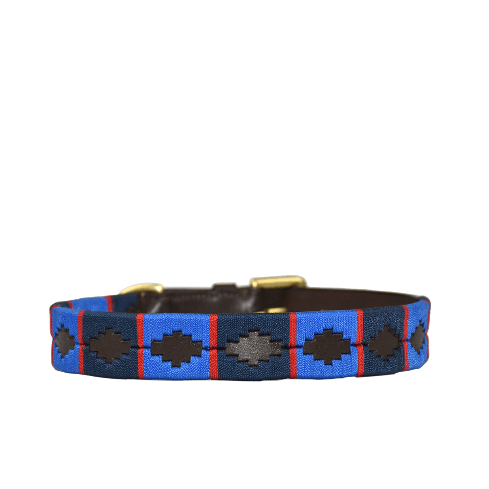 Polo Style Dog Collar - Pet Supplier Store