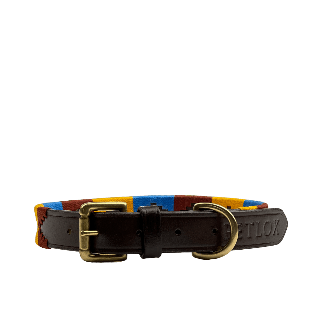 Polo Style Dog Collar - Pet Supplier Store