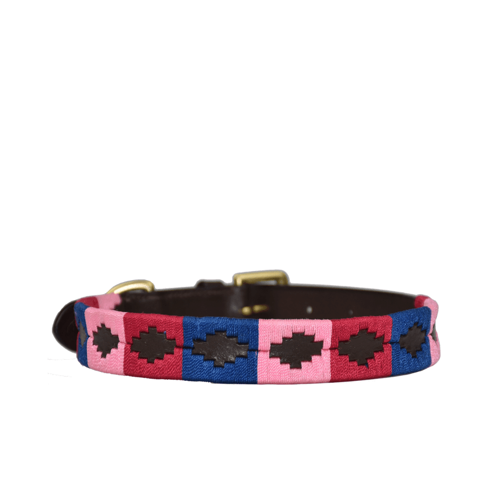 Polo Style Dog Collar - Pet Supplier Store