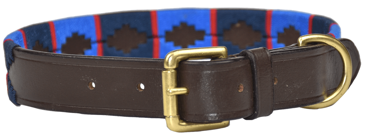 Polo Style Dog Collar - Pet Supplier Store